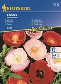 Nasiona i cebule - Kiepenkerl Mak polny Chorus 102042 - miniaturka - grafika 1