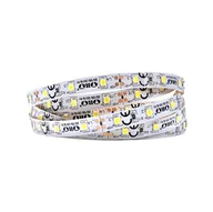 Taśmy LED - Taśma LED ORO-STRIP-300L-SMD-2835-NWD-BZ-8mm-Barwa zimna, 5m, IP20 - miniaturka - grafika 1