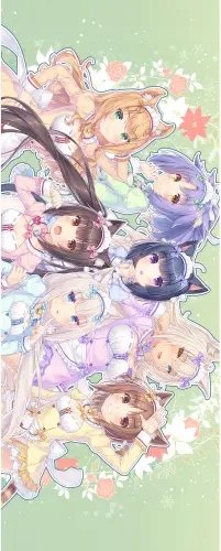 Plakat Anime Manga Nekopara np_054 A2 (custom)