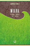 Religia i religioznawstwo - Wiara, która budzi do życia - Wysyłka od 3,99 - miniaturka - grafika 1