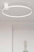 Lampy sufitowe - Thoro Plafon Thoro pierścień OPRAWA metalowa LED 50W 3000K ring okrągły biały TH.129 - miniaturka - grafika 1