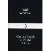 Obcojęzyczna literatura faktu i reportaż - On the Beach at Night Alone - miniaturka - grafika 1