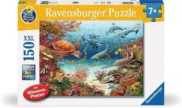 Puzzle 150 Under water