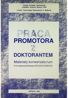 Biznes - Praca promotora z doktorantem - miniaturka - grafika 1
