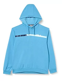 FILA Męska bluza z kapturem Sanford Block Stripes, niebieska (Cendre Blue), L, cendre blue, L - Bluzy męskie - miniaturka - grafika 1