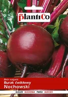 Nasiona i cebule - NASIONA Burak Ćwikłowy Nochowski 10g PLANTICO Odmiana Plenna 403444 - miniaturka - grafika 1
