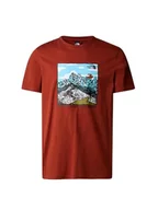 Koszulki męskie - THE NORTH FACE Koszulka graficzna Brandy Brown S - miniaturka - grafika 1
