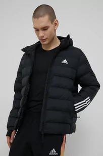 adidas Performance kurtka GT1674 męska kolor czarny zimowa GT1674-BLACK - Kurtki męskie - miniaturka - grafika 1