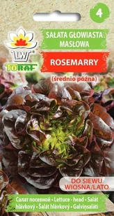 Sałata Masłowa Rosemarry (Czerwona, Śr. Późna) Lactuca Sativa L. - Nasiona i cebule - miniaturka - grafika 1