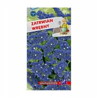 Nasiona i cebule - Zatrwian wrębny niebieski 0,4g / O / - miniaturka - grafika 1