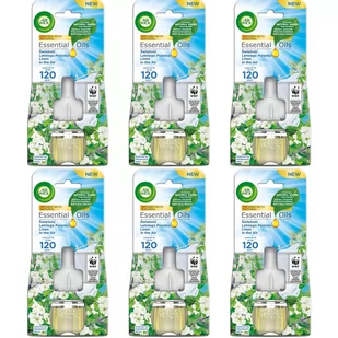 Zestaw Air Wick Wkład do elektrycznego odświeżacza powietrza Świeżość Letniego Poranka 6*19 ml - Odświeżacze powietrza - miniaturka - grafika 1