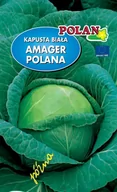 Nasiona i cebule - NASIONA KAPUSTA BIAŁA GŁOWIASTA AMAGER POLANA 2G - miniaturka - grafika 1