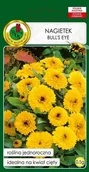 Nasiona i cebule - Nagietek Bull's Eye 0,5 g PNOS - miniaturka - grafika 1