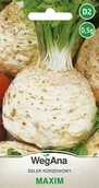 Nasiona i cebule - Seler korzeniowy Maxim 0,5g nasiona - WegAna - miniaturka - grafika 1