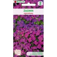 Nasiona i cebule - Żagwin ogrodowy mieszanka W.Legutko - miniaturka - grafika 1