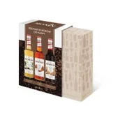 Syropy i koncentraty owocowe - Zestaw syropów do kawy MONIN Mini Set 3 x 50 ml - miniaturka - grafika 1