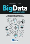 Zarządzanie - WYDAWNICTWO NAUKOWE PWN BIG DATA W PRZEMYŚLE JAK WYKORZYSTAĆ ANALIZĘ DANYCH DO OPTYMALIZACJI KOSZTÓW PROCESÓW - miniaturka - grafika 1