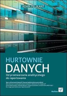 Hurtownie danych. Od przetwarzania analitycznego do raportowania - E-booki - informatyka - miniaturka - grafika 1