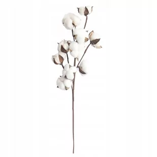 NATURALNA Roślina BAWEŁNA Gałązka PIĘKNA OZDOBA 1szt RESTAURACJA SALON 53cm - Sztuczne kwiaty - miniaturka - grafika 1