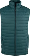 Kamizelki męskie - 4f Kamizelka męska 4F M062 zielona 4FAW23TVESM062 41S S - miniaturka - grafika 1