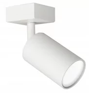 Lampy sufitowe - Superled Spoti lampa sufitowa (spot) 1-punktowa biała - miniaturka - grafika 1