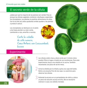 (ES) Mikroskop Discovery Micro z książką - Mikroskopy i lupy - miniaturka - grafika 6