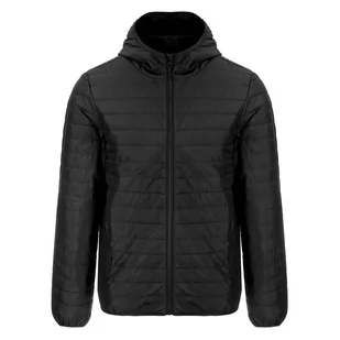 Kurtka męska DIADORA HOODIE LIGHT JACKET CHROMIA - Kurtki męskie - miniaturka - grafika 1