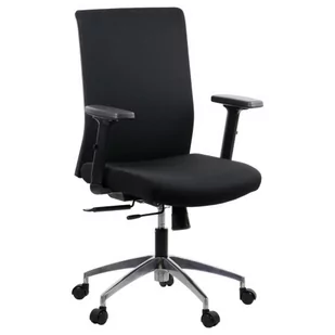 Fotel biurowy, krzesło biurowe Fotel ergonomiczny RIVERTON F/L/AL - Fotele i krzesła biurowe - miniaturka - grafika 1