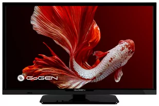 Telewizor Gogen TVH24P352T 24" - Telewizory - miniaturka - grafika 1