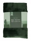 Koce - Miły i ciepły koc Nevada 150x200 cm - zielony / zieleń - miniaturka - grafika 1