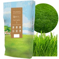 Nasiona i cebule - NASIONA TRAW ZIELONA SAHARA TRAWA DO TRUDNYCH WARUNKÓW ODPORNA 5KG DCO - miniaturka - grafika 1