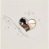 Ramki na zdjęcia - Fotoalbum samoprzylepny nitowany DBLP-30WUnity 1 - Fandy - miniaturka - grafika 1