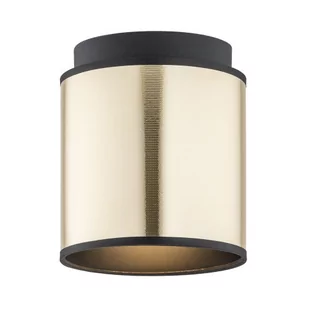 Argon Spot większy 1X15W E27 HERMAN 4247  4247 - Lampy sufitowe - miniaturka - grafika 1