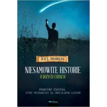 Orion plus Niesamowite historie o Bożych cudach Joe L. Wheeler - Religia i religioznawstwo - miniaturka - grafika 1
