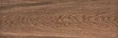 Budowa OUTLET - PAMESA FRONDA ROBLE  20x60 - miniaturka - grafika 1