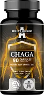 Suplementy naturalne - APOLLO'S HEGEMONY CHAGA MUSHROOM 90 KAPSUŁEK - miniaturka - grafika 1