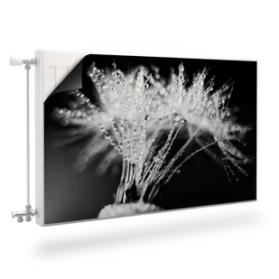 MASKOWNICA Magnetyczna Na Kaloryfer KROPLE Rosy Dmuchawiec 90cm x 60cm - Dekoracje domu MASKOWNICA Magnetyczna Na Kaloryfer KROPLE Rosy Dmuchawiec 90cm x 60cm - Dekoracje domu - miniaturka - grafika 1