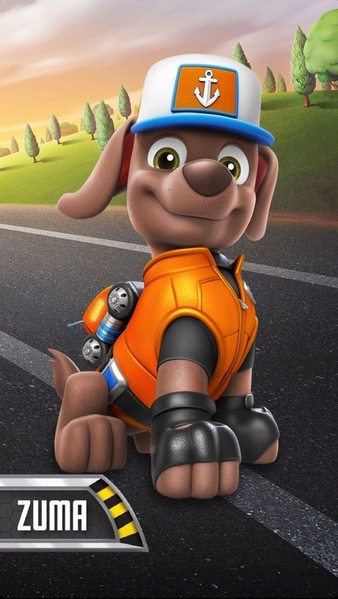 PUZZLE Zuma Psi Patrol Pies + IMIĘ Pudełko 120 el.