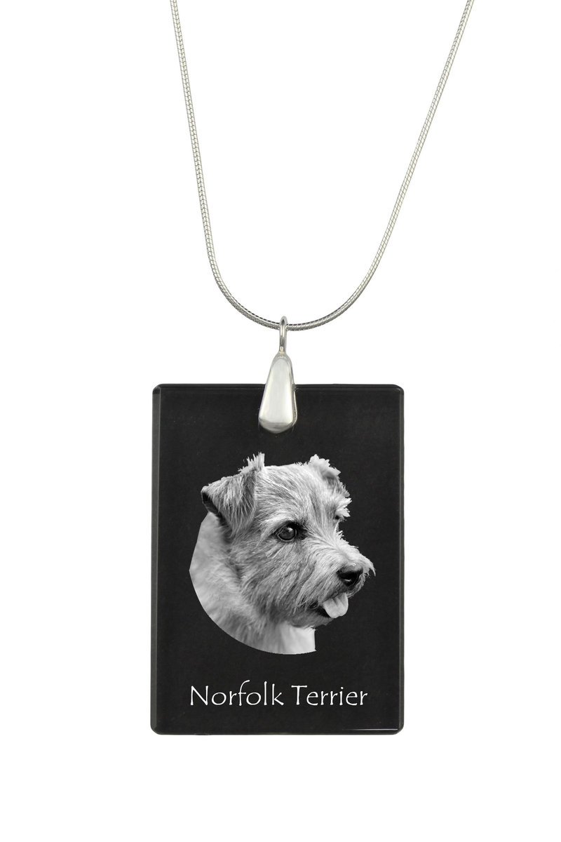 Norfolk Terrier - kryształowa zawieszka z psem, srebrny naszyjnik ze zdjęciem, personalizowany wisiorek marki Art-Dog