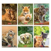 Zeszyty szkolne - Herlitz Zeszyt A5 Animals mix kratka 32 kartki - miniaturka - grafika 1