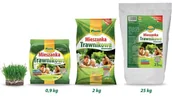 Nasiona i cebule - Trawa - Uniwersalna mieszanka trawnikowa 2 kg PLANTA - miniaturka - grafika 1