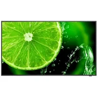 Monitory reklamowe i wyświetlacze - NEC MultiSync E658 - miniaturka - grafika 1