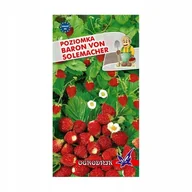 Nasiona i cebule - Poziomka Baron von Solemacher 0,2g / O / - miniaturka - grafika 1