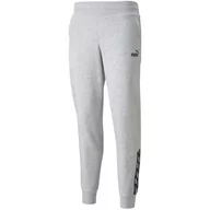 Spodnie damskie - Spodnie Damskie Puma Power Pants Fl Szare 589546 04-M - miniaturka - grafika 1