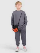 Bluzy dla chłopców - 4F Komplet dresowy chłopięcy - szary 158/164 (12-14 lat) - miniaturka - grafika 1