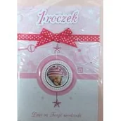 Powieści - Panorama Karnet roczek B6 Premium 48 + koperta - miniaturka - grafika 1