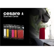Zapachy samochodowe - Mr&Mrs Cesare Scented card JCESTES006 Scent for Car Peppermint Floral-Fruit EVA Red JCESTES006 - miniaturka - grafika 1