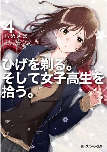 Plakat Anime hws_010 A2 (custom)