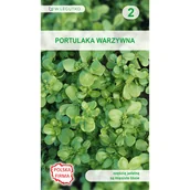 Nasiona i cebule - Portulaka warzywna zielona nasiona 0.5g W. Legutko - miniaturka - grafika 1