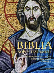 Biblia. Nowy Testament - Religia i religioznawstwo - miniaturka - grafika 1